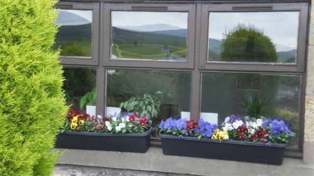 Scooniehill Farm House B&B St Andrews Cameră foto